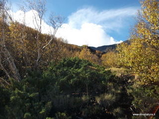llone monte Zappinazzo-04-11-2012 10-09-30
